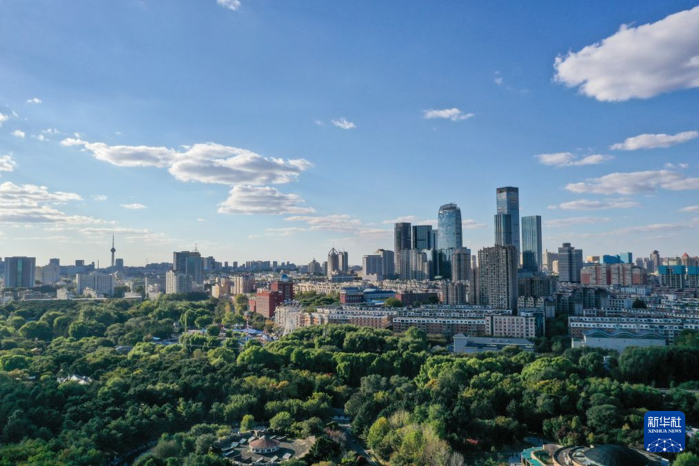 1xBET图片展示