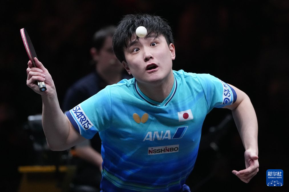 1xBET介绍图片